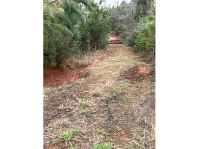 Prime 15-Acre Retreat - Just 4 Miles from Toledo Bend Lake & - photo 2