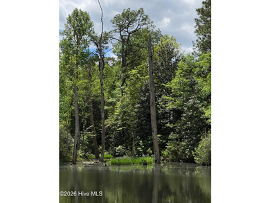 A True Hidden Gem!! Welcome to the breathtaking Parson's Estate - photo 20