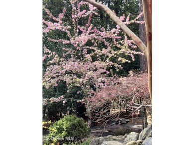 A True Hidden Gem!! Welcome to the breathtaking Parson's Estate - photo 28