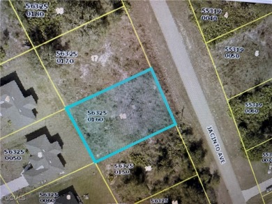 Lehigh Acres Area Lot For Sale in Lehigh Acres Florida
