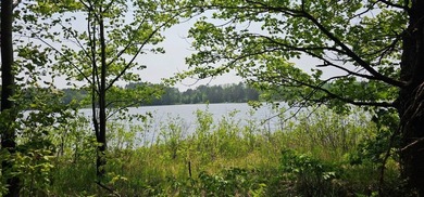 Grant Lake Acreage For Sale in Mercer Wisconsin