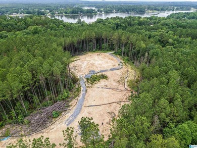 Total of 16 acres, already cleared for easy access and - photo 11