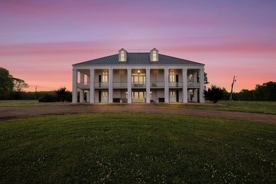 Welcome to one of West Lowndes County's most remarkable estates - photo 11