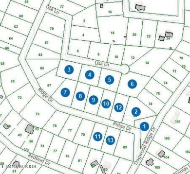 Tennessee River - Roane County Acreage Sale Pending in Kingston Tennessee