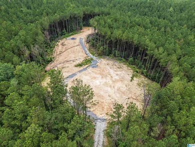 Total of 16 acres, already cleared for easy access and - photo 12
