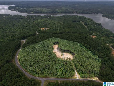 Total of 16 acres, already cleared for easy access and - photo 13