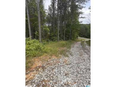 Total of 16 acres, already cleared for easy access and - photo 15