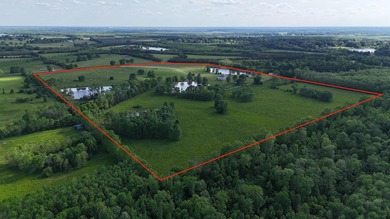 Welcome to one of West Lowndes County's most remarkable estates - photo 15