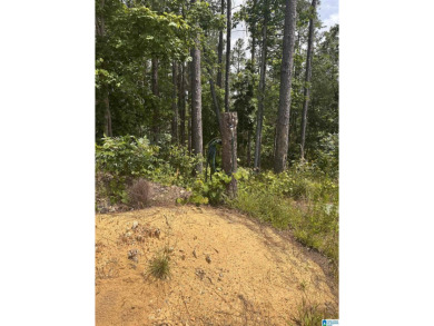 Total of 16 acres, already cleared for easy access and - photo 16