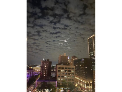 Enjoy vibrant downtown living at its best!
Welcome to Apartment