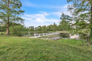 Welcome to one of West Lowndes County's most remarkable estates - photo 18