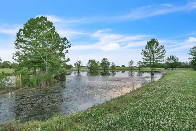 Welcome to one of West Lowndes County's most remarkable estates - photo 19
