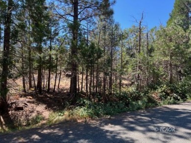 Trinity Lake / Clair Engle Lake Lot Sale Pending in Trinity Center California