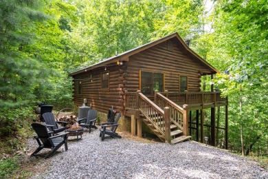 Lake Home For Sale in Blue Ridge, Georgia