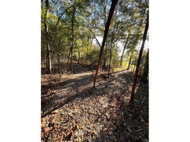 Lake Lot For Sale in Jewett, Texas