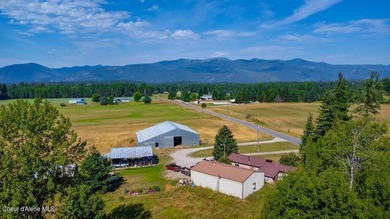 Spectacular views of Schweitzer Mountain from this 20 acre farm - photo 11