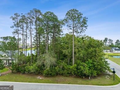 1871 Isles of St. Marys Way presents a rare opportunity to build - photo 11