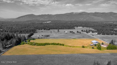 Spectacular views of Schweitzer Mountain from this 20 acre farm - photo 14
