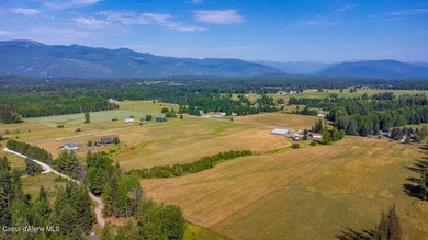 Spectacular views of Schweitzer Mountain from this 20 acre farm - photo 15