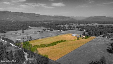 Spectacular views of Schweitzer Mountain from this 20 acre farm - photo 16