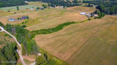 Spectacular views of Schweitzer Mountain from this 20 acre farm - photo 17