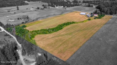 Spectacular views of Schweitzer Mountain from this 20 acre farm - photo 18