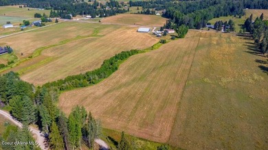 Spectacular views of Schweitzer Mountain from this 20 acre farm - photo 19