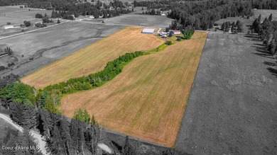 Spectacular views of Schweitzer Mountain from this 20 acre farm - photo 20