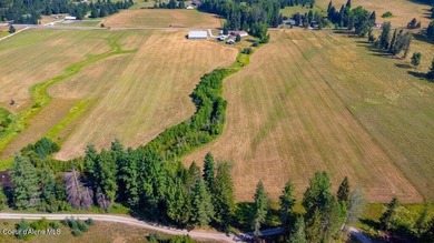 Spectacular views of Schweitzer Mountain from this 20 acre farm - photo 21