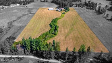 Spectacular views of Schweitzer Mountain from this 20 acre farm - photo 22