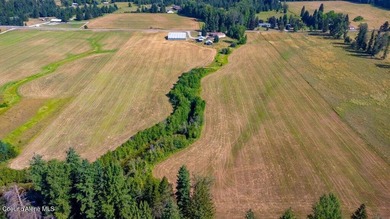Spectacular views of Schweitzer Mountain from this 20 acre farm - photo 23