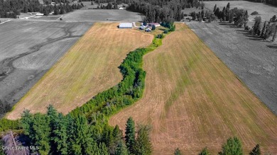 Spectacular views of Schweitzer Mountain from this 20 acre farm - photo 24