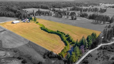 Spectacular views of Schweitzer Mountain from this 20 acre farm - photo 26