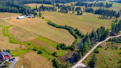 Spectacular views of Schweitzer Mountain from this 20 acre farm - photo 27