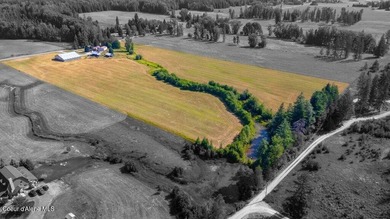 Spectacular views of Schweitzer Mountain from this 20 acre farm - photo 28