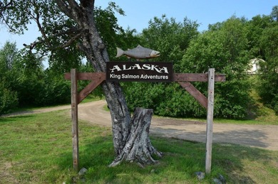 Lake Commercial For Sale in Dillingham, Alaska