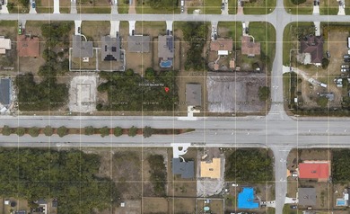 Build your dream home or invest in one of Florida's - photo 2
