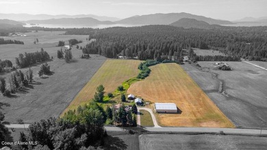 Spectacular views of Schweitzer Mountain from this 20 acre farm - photo 33