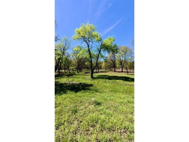 This is your sign to go all in on lake life! Almost 3/4 acre lot - photo 3