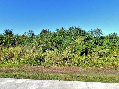Build your dream home or invest in one of Florida's - photo 3