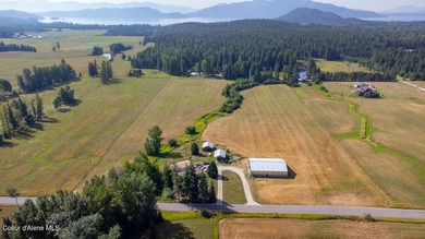 Spectacular views of Schweitzer Mountain from this 20 acre farm - photo 34
