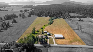 Spectacular views of Schweitzer Mountain from this 20 acre farm - photo 35