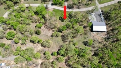 This is your sign to go all in on lake life! Almost 3/4 acre lot - photo 5