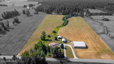Spectacular views of Schweitzer Mountain from this 20 acre farm - photo 37