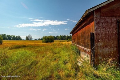 Spectacular views of Schweitzer Mountain from this 20 acre farm - photo 43