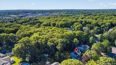 Beautifully Updated Colonial in the Heart of St. James Nestled - photo 6