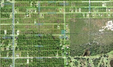 Lake Weohyakapka Lot For Sale in Indian Lake Estates Florida
