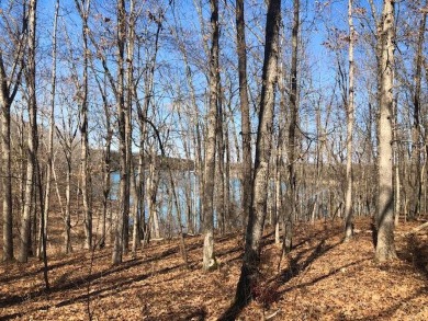 Table Rock Lake Lot For Sale in Golden Missouri