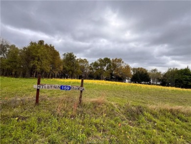 Lake Acreage For Sale in Jewett, Texas