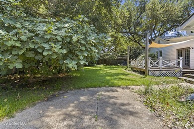 Southern Charm Meets Coastal Living - Just two Blocks from the - photo 50